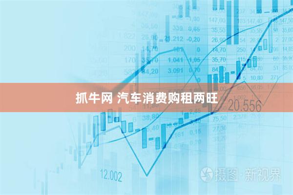 抓牛网 汽车消费购租两旺