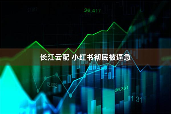 长江云配 小红书彻底被逼急
