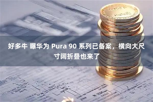 好多牛 曝华为 Pura 90 系列已备案，横向大尺寸阔折叠也来了