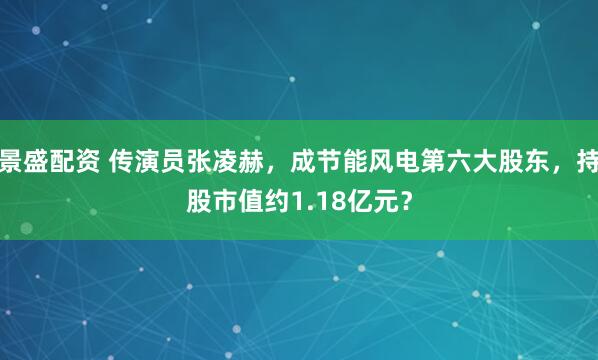 景盛配资 传演员张凌赫，成节能风电第六大股东，持股市值约1.18亿元？
