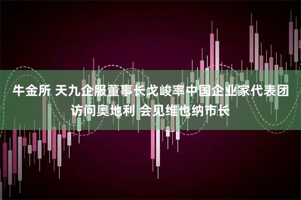 牛金所 天九企服董事长戈峻率中国企业家代表团访问奥地利 会见维也纳市长
