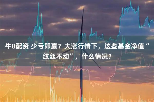 牛8配资 少亏即赢?大涨行情下,这些基金净值“纹丝不动”,什么情况?