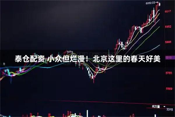 泰仓配资 小众但烂漫！北京这里的春天好美