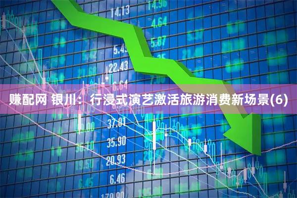 赚配网 银川：行浸式演艺激活旅游消费新场景(6)