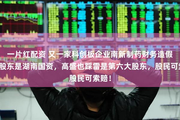 一片红配资 又一家科创板企业南新制药财务造假！大股东是湖南国资，高盛也踩雷是第六大股东，股民可索赔！