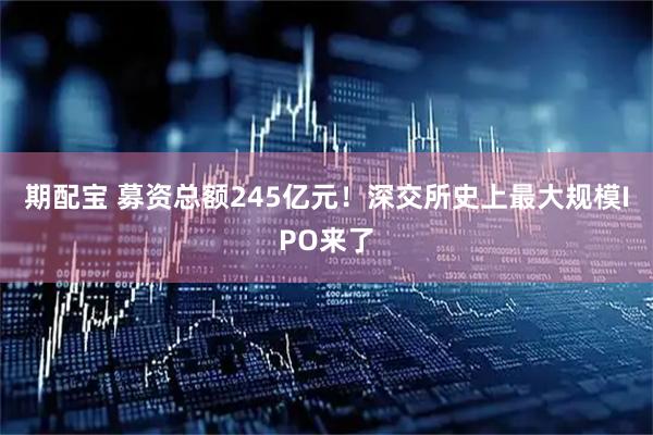 期配宝 募资总额245亿元！深交所史上最大规模IPO来了